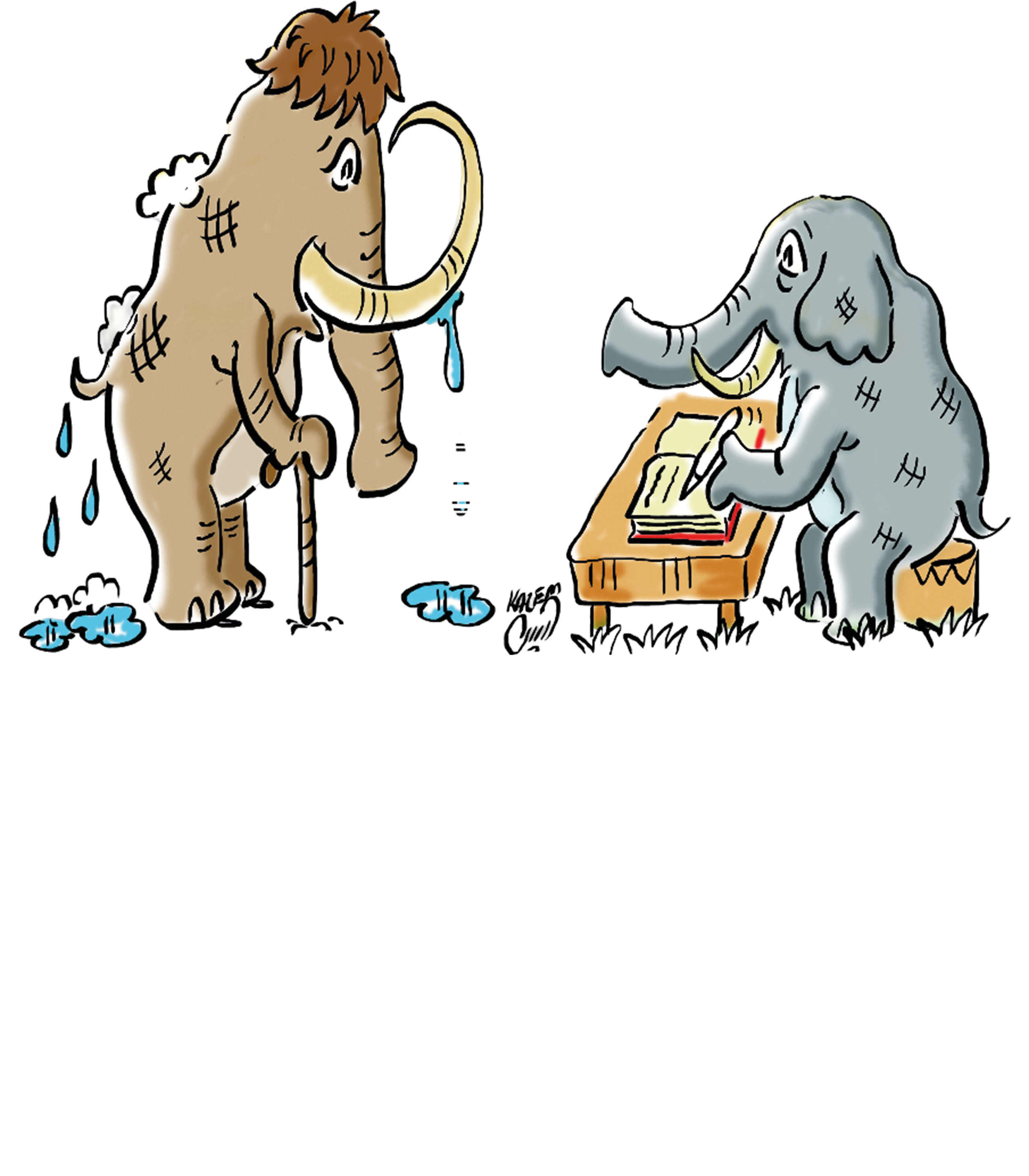 Elephants